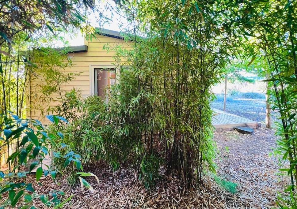 Eco Tiny Home & Office For Digital Nomads Vallmoll Exterior photo